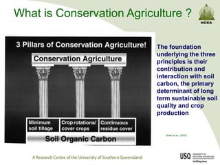 What is Conservation Agriculture ?

                           The foundation
                           underlying the three
                           principles is their
                           contribution and
                           interaction with soil
                           carbon, the primary
                           determinant of long
                           term sustainable soil
                           quality and crop
                           production


                              Baker et al., (2007)
 
