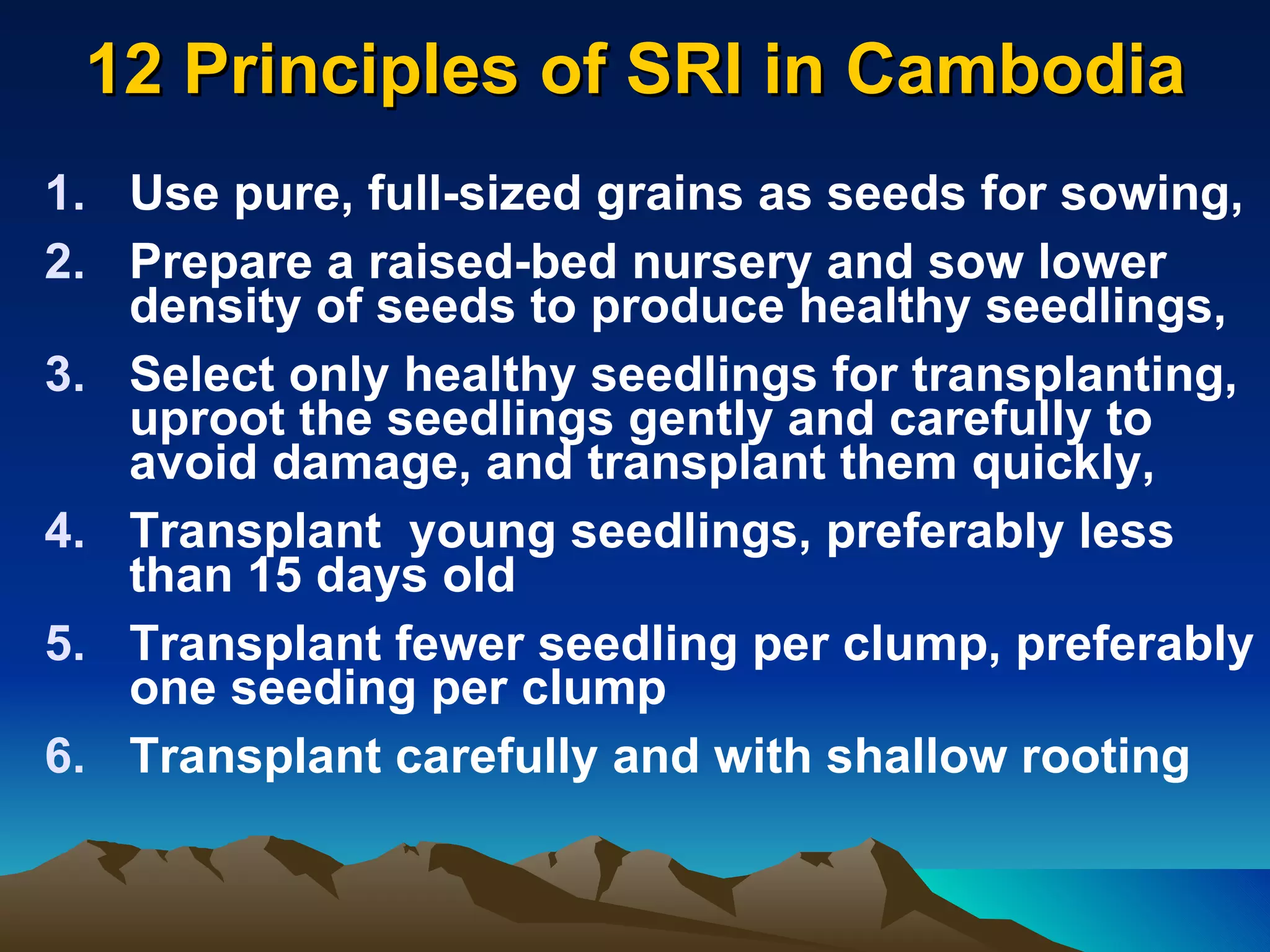 12 Principles of SRI in Cambodia Use pure, full-sized grains as seeds for sowing, Prepare a raised-bed nursery and sow lower density of seeds to produce healthy seedlings, Select only healthy seedlings for transplanting, uproot the seedlings gently and carefully to avoid damage, and transplant them quickly, Transplant  young seedlings, preferably less than 15 days old Transplant fewer seedling per clump, preferably one seeding per clump Transplant carefully and with shallow rooting 