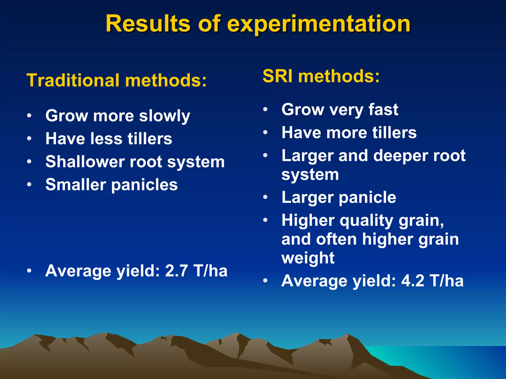 Results of experimentation  Traditional methods: Grow more slowly Have less tillers  Shallower root system Smaller panicles Average yield: 2.7 T/ha SRI methods: Grow very fast Have more tillers Larger and deeper root system Larger panicle Higher quality grain, and often higher grain weight Average yield: 4.2 T/ha 