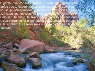 La  gente  que  conoces  afecta  tu  vida,  las  caídas  y los triunfos que tu experimentas crean la persona que eres. Aún  se  puede aprender de la malas experiencias; Es mas quizá sean las mas significativas en nuestras vidas. Si  alguien  te  hiere, te  traiciona o rompe tu corazón dale gracias porque te ha enseñado la importancia de perdonar, de  la  confianza y a tener mas cuidado de a quien le abres tu corazón. 