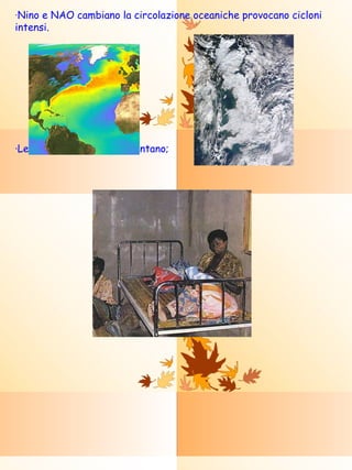 · Nino e NAO cambiano la circolazione oceaniche provocano cicloni intensi. ·Le malattie africane aumentano; 