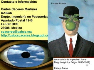 49Social BookmarkingGuarda lis links de las páginas webSus marcadores estarán disponibles en cualquier parte no solamente en su computadora como favoritosComparta marcadores con otras personas formando redesOrganice sus marcadores