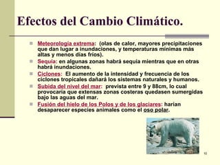 Efectos del Cambio Climático. Meteorología extrema :  (olas de calor, mayores precipitaciones que dan lugar a inundaciones, y temperaturas mínimas más altas y menos días fríos). Sequía :  en algunas zonas habrá sequía mientras que en otras habrá inundaciones. Ciclones :   El aumento de la intensidad y frecuencia de los ciclones tropicales dañará los sistemas naturales y humanos. Subida del nivel del mar :   prevista entre 9 y 88cm, lo cual provocaría que extensas zonas costeras quedasen sumergidas  bajo las aguas del mar. Fusión del hielo de los Polos y de los glaciares :  harían desaparecer especies animales como el  oso polar . 