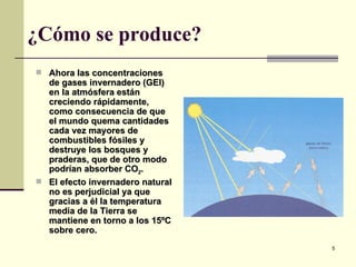 ¿Cómo se produce? Ahora las concentraciones de gases invernadero (GEI) en la atmósfera están creciendo rápidamente, como consecuencia de que el mundo quema cantidades cada vez mayores de combustibles fósiles y destruye los bosques y praderas, que de otro modo podrían absorber CO 2 . El efecto invernadero natural no es perjudicial ya que gracias a él la temperatura media de la Tierra se mantiene en torno a los 15ºC sobre cero. 
