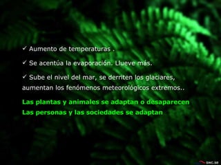 Aumento de temperaturas . Se acentúa la evaporación. Llueve más. Sube el nivel del mar, se derriten los glaciares, aumentan los fenómenos meteorológicos extremos.. Las plantas y animales se adaptan o desaparecen Las personas y las sociedades se adaptan 