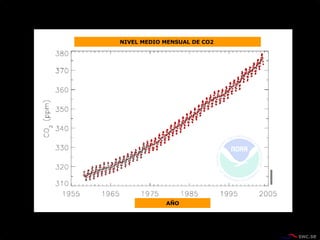 NIVEL MEDIO MENSUAL DE CO2  AÑO 