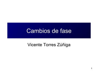 Cambios de fase Vicente Torres Zúñiga 