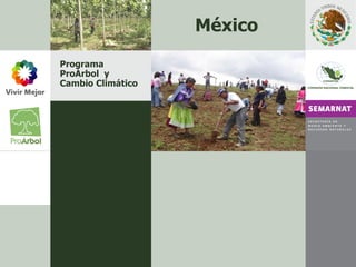 Programa ProÁrbol  y Cambio Climático México 