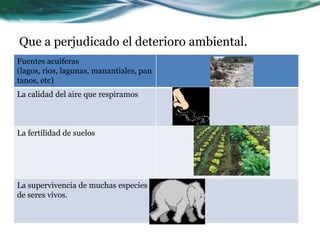 Que a perjudicado el deterioro ambiental.
Fuentes acuiferas
(lagos, rios, lagunas, manantiales, pan
tanos, etc)
La calidad del aire que respiramos



La fertilidad de suelos




La supervivencia de muchas especies
de seres vivos.
 