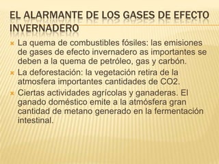 EL ALARMANTE DE LOS GASES DE EFECTO
INVERNADERO
   La quema de combustibles fósiles: las emisiones
    de gases de efecto invernadero as importantes se
    deben a la quema de petróleo, gas y carbón.
   La deforestación: la vegetación retira de la
    atmosfera importantes cantidades de CO2.
   Ciertas actividades agrícolas y ganaderas. El
    ganado doméstico emite a la atmósfera gran
    cantidad de metano generado en la fermentación
    intestinal.
 