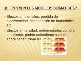 QUÉ PREVÉN LOS MODELOS CLIMÁTICOS?

 Efectos ambientales: perdida de
  biodiversidad, desaparición de humedales,
  etc.
 Efectos en la salud, enfermedades como el
  paludismo, podría extenderse a zonas que
  ahora tienen clima templados.
 