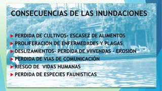 CONSECUENCIAS DE LAS INUNDACIONES 
 PERDIDA DE CULTIVOS- ESCASEZ DE ALIMENTOS 
 PROLIFERACION DE ENFERMEDADES Y PLAGAS 
 DESLIZAMIENTOS- PERDIDA DE VIIVENDAS – EROSION 
 PERDIDA DE VIAS DE COMUNICACIÓN 
 RIESGO DE VIDAS HUMANAS 
 PERDIDA DE ESPECIES FAUNISTICAS 
 