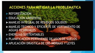 ACCIONES PARA MITIGAR LA PROBLEMATICA 
REFORESTACION 
 EDUCACION AMBIENTAL 
MANEJO INTEGRAL DE RESIDUOS SOLIDOS 
MANEJO TECNICO Y EFICIENTE DE VERTIMIENTO DE 
AGUAS RESIDUALES 
ENERGIAS SUSTENTABLES 
PLANIFICACION PERTINENTE DE USOS DE SUELOS 
 APLICACIÓN DRASTICA DE LAS NORMAS Y LEYES 
 