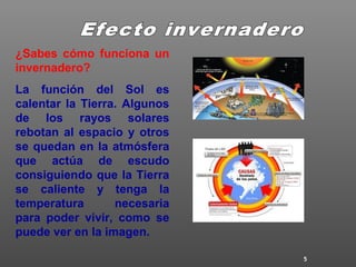 5
¿Sabes cómo funciona un
invernadero?
La función del Sol es
calentar la Tierra. Algunos
de los rayos solares
rebotan al espacio y otros
se quedan en la atmósfera
que actúa de escudo
consiguiendo que la Tierra
se caliente y tenga la
temperatura necesaria
para poder vivir, como se
puede ver en la imagen.
 