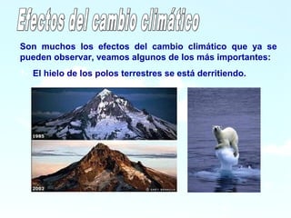12
Son muchos los efectos del cambio climático que ya se
pueden observar, veamos algunos de los más importantes:
1- El hielo de los polos terrestres se está derritiendo.
 