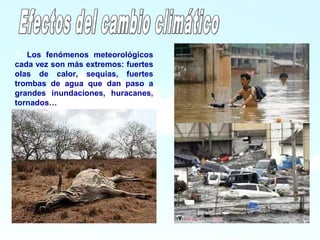 13
2- Los fenómenos meteorológicos
cada vez son más extremos: fuertes
olas de calor, sequías, fuertes
trombas de agua que dan paso a
grandes inundaciones, huracanes,
tornados…
 
