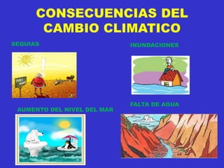 CONSECUENCIAS DEL
CAMBIO CLIMATICO
SEQUIAS INUNDACIONES
AUMENTO DEL NIVEL DEL MAR
FALTA DE AGUA