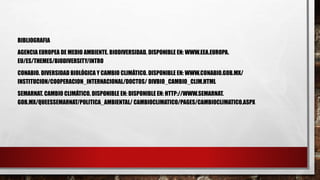 BIBLIOGRAFIA
AGENCIA EUROPEA DE MEDIO AMBIENTE. BIODIVERSIDAD. DISPONIBLE EN: WWW.EEA.EUROPA.
EU/ES/THEMES/BIODIVERSITY/INTRO
CONABIO. DIVERSIDAD BIOLÓGICA Y CAMBIO CLIMÁTICO. DISPONIBLE EN: WWW.CONABIO.GOB.MX/
INSTITUCION/COOPERACION_INTERNACIONAL/DOCTOS/ DIVBIO_CAMBIO_CLIM.HTML
SEMARNAT. CAMBIO CLIMÁTICO. DISPONIBLE EN: DISPONIBLE EN: HTTP://WWW.SEMARNAT.
GOB.MX/QUEESSEMARNAT/POLITICA_AMBIENTAL/ CAMBIOCLIMATICO/PAGES/CAMBIOCLIMATICO.ASPX
 
