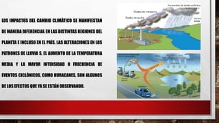 LOS IMPACTOS DEL CAMBIO CLIMÁTICO SE MANIFIESTAN
DE MANERA DIFERENCIAL EN LAS DISTINTAS REGIONES DEL
PLANETA E INCLUSO EN EL PAÍS. LAS ALTERACIONES EN LOS
PATRONES DE LLUVIA S, EL AUMENTO DE LA TEMPERATURA
MEDIA Y LA MAYOR INTENSIDAD O FRECUENCIA DE
EVENTOS CICLÓNICOS, COMO HURACANES, SON ALGUNOS
DE LOS EFECTOS QUE YA SE ESTÁN OBSERVANDO.
 