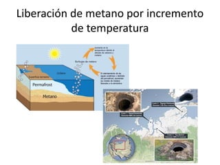 Liberación de metano por incremento
de temperatura
 
