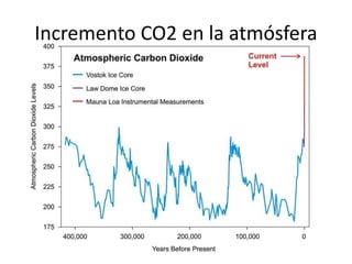 Incremento CO2 en la atmósfera
 