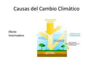 Causas del Cambio Climático
Efecto
Invernadero
 