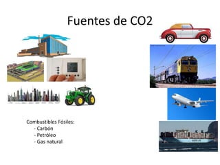 Fuentes de CO2
Combustibles Fósiles:
- Carbón
- Petróleo
- Gas natural
 