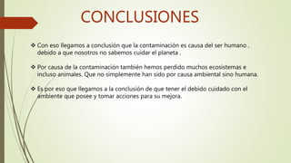 CONCLUSIONES
 Con eso llegamos a conclusión que la contaminación es causa del ser humano ,
debido a que nosotros no sabem...