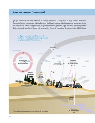 10
Ciclo del carbono (conclusión)
¿Y qué tiene que ver todo esto con el cambio climático? La respuesta es muy sencilla. Los seres
humanos hemos introducido más carbono en el ciclo a través de actividades como la destrucción de
los bosques, las selvas o los pastizales, la quema de carbón, petróleo o gas natural y la cría de ganado.
Quizá pensarás que los océanos y la vegetación tienen la capacidad de captar todo el bióxido de
La figura muestra los almacenes de
carbono y los flujos anuales expresados
en gigatoneladas1
de carbono.
Emisiones
por consumo
de combustibles
6 a 8
300
Carbón
3 000
1
Una gigatonelada equivale a mil millones de toneladas.
Biósfera
540 a 610
 