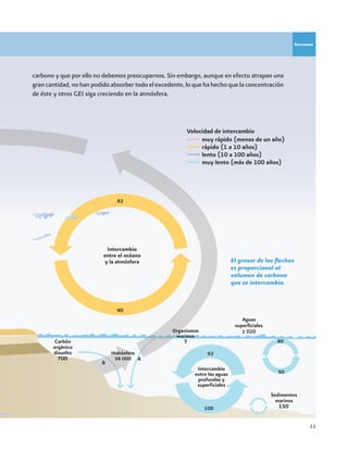 11
carbono y que por ello no debemos preocuparnos. Sin embargo, aunque en efecto atrapan una
gran cantidad, no han podido absorber todo el excedente, lo que ha hecho que la concentración
de éste y otros GEI siga creciendo en la atmósfera.
Recuadro
El grosor de las flechas
es proporcional al
volumen de carbono
que se intercambia.
150
Intercambio
entre el océano
y la atmósfera
66 000 a 100 millones
6
4700
 