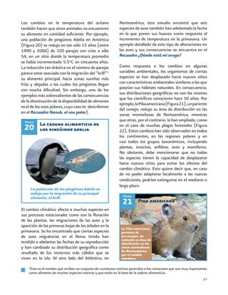 37
La cadena alimenticia de
los pingüinos adelia20
Los cambios en la temperatura del océano
también hacen que otros animales no encuentren
su alimento en cantidad suficiente. Por ejemplo,
una población de pingüinos Adelia en Antártica
(Figura 20) se redujo en tan sólo 15 años (entre
1990 y 2004) de 320 parejas con crías a sólo
54, en un sitio donde la temperatura promedio
se había incrementado 5.5°C en cincuenta años.
La reducción tan drástica en el número de parejas
parece estar asociada con la migración del “krill”5,
su alimento principal, hacia zonas sureñas más
frías y alejadas a las cuales los pingüinos llegan
con mucha dificultad. Sin embargo, uno de los
ejemplos más sobresalientes de las consecuencias
de la disminución de la disponibilidad de alimento
es el de los osos polares, cuyo caso te describimos
en el Recuadro Nanuk, el oso polar).
5
Este es el nombre que reciben un conjunto de crustáceos marinos parecidos a los camarones que son muy importantes
como alimento de muchas especies marinas y que están en la base de la cadena alimenticia.
Figura
El cambio climático afecta a muchas especies en
sus procesos estacionales como son la floración
de las plantas, las migraciones de las aves y la
aparición de las primeras hojas de los árboles en la
primavera. Se ha encontrado que ciertas especies
de aves migratorias en el Reino Unido han
tendido a adelantar las fechas de su reproducción
y han cambiado su distribución geográfica como
resultado de los inviernos más cálidos que se
viven en la isla. Al otro lado del Atlántico, en
Norteamérica, otro estudio encontró que seis
especies de aves también han adelantado la fecha
en la que ponen sus huevos como respuesta al
incremento de temperatura en la primavera. Un
ejemplo detallado de este tipo de alteraciones en
las aves y sus consecuencias se encuentra en el
Recuadro ¿Dónde está mi oruga?
Como respuesta a los cambios en algunas
variables ambientales, los organismos de ciertas
especies se han desplazado hacia nuevos sitios
con características ambientales similares a las que
poseían sus hábitats naturales. En consecuencia,
sus distribuciones geográficas no son las mismas
que los científicos conocieron hace 50 años. Por
ejemplo,laPikaamericana(Figura21),unpariente
del conejo, redujo su área de distribución en las
zonas montañosas de Norteamérica, mientras
que otras, por el contrario, la han ampliado, como
en el caso de muchas plagas forestales (Figura
22). Estos cambios han sido observados en todos
los continentes, en las regiones polares y en
casi todos los grupos taxonómicos, incluyendo
plantas, insectos, anfibios, aves y mamíferos.
No obstante, debe mencionarse que no todas
las especies tienen la capacidad de desplazarse
hacia nuevos sitios para evitar los efectos del
cambio climático. Esto quiere decir que, en caso
de no poder adaptarse localmente a las nuevas
condiciones, podrían extinguirse en el mediano o
largo plazo.
Pika americana21
La población de los pingüinos Adelia se
redujo por la migración de su principal
alimento, el krill.
La Pika americana,
pariente de
los conejos, ha
reducido su área de
distribución en las
zonas montañosas
de Norteamérica
por el cambio
climático.
Figura
 