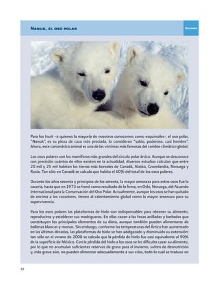 38
Nanuk, el oso polar
Para los Inuit –a quienes la mayoría de nosotros conocemos como esquimales-, el oso polar,
“Nanuk”, es su pieza de caza más preciada, lo consideran “sabio, poderoso, casi hombre”.
Ahora, este carismático animal es una de las víctimas más famosas del cambio climático global.
Los osos polares son los mamíferos más grandes del círculo polar ártico. Aunque se desconoce
con precisión cuántos de ellos existen en la actualidad, diversos estudios calculan que entre
20 mil y 25 mil habitan las tierras más boreales de Canadá, Alaska, Groenlandia, Noruega y
Rusia. Tan sólo en Canadá se calcula que habita el 60% del total de los osos polares.
Durante los años sesenta y principios de los setenta, la mayor amenaza para estos osos fue la
cacería, hasta que en 1973 se frenó como resultado de la firma, en Oslo, Noruega, del Acuerdo
Internacional para la Conservación del Oso Polar. Actualmente, aunque los osos se han quitado
de encima a los cazadores, tienen al calentamiento global como la mayor amenaza para su
supervivencia.
Para los osos polares las plataformas de hielo son indispensables para obtener su alimento,
reproducirse y establecer sus madrigueras. En ellas cazan a las focas anilladas y barbadas que
constituyen los principales elementos de su dieta, aunque también pueden alimentarse de
ballenas blancas y morsas. Sin embargo, conforme las temperaturas del Ártico han aumentado
en las últimas décadas, las plataformas de hielo se han adelgazado y disminuido su extensión:
tan sólo en el verano de 2008 se calcula que la pérdida de hielo fue casi equivalente al 90%
de la superficie de México. Con la pérdida del hielo a los osos se les dificulta cazar su alimento,
por lo que no acumulan suficientes reservas de grasa para el invierno, sufren de desnutrición
y, más grave aún, no pueden alimentar adecuadamente a sus crías, todo lo cual se traduce en
Recuadro
 