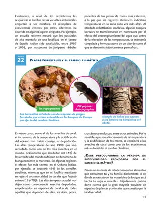 41
Finalmente, a nivel de los ecosistemas las
respuestas al cambio de las variables ambientales
empiezan a ser notables. El reemplazo de
ecosistemas enteros por otros diferentes ha
ocurridoenalgunoslugaresdelglobo.Porejemplo,
un estudio reciente mostró que los pastizales
de alta montaña de una localidad en el centro
de España habían sido sustituidos, entre 1957
y 1991, por matorrales de juníperos -árboles
Plagas Forestales y el cambio climático22
En otros casos, como el de los arrecifes de coral,
el incremento de la temperatura y la acidificación
del océano han traído consigo su degradación.
Las altas temperaturas del año 1998, que será
recordado como uno de los más calientes en el
mundo, ocasionaron que alrededor del 16% de
los arrecifes del mundo sufrieran del fenómeno de
blanqueamiento o murieran. En algunas regiones
el efecto fue más severo: en el Océano Índico,
por ejemplo, se decoloró 46% de los arrecifes
coralinos, mientras que en el Pacífico mexicano
se registró una mortalidad de corales que fluctuó
entre el 18 y 70%. Las altas temperaturas del mar
dejan como consecuencia arrecifes degradados,
empobrecidos en especies de coral y de todas
aquéllas que dependen de ellos, es decir, peces,
crustáceosymoluscos,entreotrosanimales.Porlo
sensibles que son al incremento de la temperatura
y la acidificación de los mares, se considera a los
arrecifes de coral como uno de los ecosistemas
más vulnerables al cambio climático.
¿Debe preocuparnos la pérdida de
biodiversidad provocada por el
cambio climático?
Piensa un instante de dónde vienen los alimentos
que consumen tú y tu familia diariamente, o de
dónde se extrajeron los materiales de los que está
hecha tu ropa o muebles. Rápidamente podrás
darte cuenta que la gran mayoría proviene de
especies de plantas y animales que constituyen la
biodiversidad.
parientes de los pinos- de zonas más calientes,
a la par que los registros climáticos indicaban
temperaturas en la zona cada vez más altas. Al
otroladodelAtlántico,enAlaska,algunosbosques
boreales se transformaron en humedales por el
efecto del descongelamiento del agua que, antes
de la elevación de las temperaturas, se mantenía
congelada y formaba parte de un tipo de suelo al
que se denomina técnicamente permafrost.
Los barrenillos del abeto son dos especies de plagas
forestales que se han extendido en los bosques de Europa
por efecto del cambio climático.
Ips typographus
Pityogenes
chalcographus
Ejemplo de daños que causan
a los árboles los barrenillos del
abeto.
Figura
 