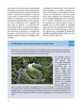 42
Hay muchos otros servicios que la biodiversidad
nos otorga y que quizá no conozcas. Por ejemplo,
la vegetación natural captura parte del bióxido de
carbono emitido por los vehículos e industrias,
lo que ayuda a la reducción de la concentración
de GEI en la atmósfera y, por tanto, al efecto de
calentamiento global del planeta. Otros ejemplos
de servicios ambientales son la regulación del
clima local, la captación y el mantenimiento
de la calidad del agua, el control de las plagas y
enfermedades, la descomposición de los residuos
que producimos, la formación y la fertilidad de
los suelos y la polinización de los cultivos que
realizan las abejas, mariposas, murciélagos y otros
animales.
El Amazonas: una fuente agotable de buen clima
El Amazonas es el sitio que muchas personas imaginan cuando se les habla de selvas tropicales.
Este inmenso ecosistema sudamericano es el remanente de selva más importante del mundo,
con una riqueza de especies de plantas y animales sin igual.
La pérdida de la biodiversidad, ya sea debida al
cambio climático, o a su efecto combinado con
el de la deforestación, la sobreexplotación de los
recursos o la contaminación, entre otros, puede
tener efectos negativos muy importantes para
nuestra sociedad, debido básicamente a la pérdida
de los servicios ambientales que nos brindan
los ecosistemas de manera gratuita. Incluso, es
probable que se pierda también la capacidad
propia que tienen los ecosistemas para regular el
clima, como en el caso de los bosques y las selvas
(te sugerimos leer el Recuadro El Amazonas:
una fuente agotable de buen clima, para más
detalles respecto a este tema).
Sin embargo, como la
mayoría de las selvas
del planeta, está
seriamente amenazada.
La deforestación ha
provocado que se
hayan perdido tan
sólo en Brasil, entre
1988 y 2008, poco
más de 37 millones de
hectáreas, es decir, una
superficie equivalente
al 20% de nuestro país.
Además de la pérdida
de la vegetación, la
deforestación produce
gases de efecto invernadero, principalmente por el uso del fuego. En el caso del Amazonas,
la emisión de CO2
asociada a la deforestación se calcula entre el 5 y 10% de las emisiones
globales según un reporte publicado por la Royal Society de la Gran Bretaña. Sin embargo, con
la reducción de la vegetación también se pierde la capacidad que tiene la selva para regular el
clima.
Recuadro
 