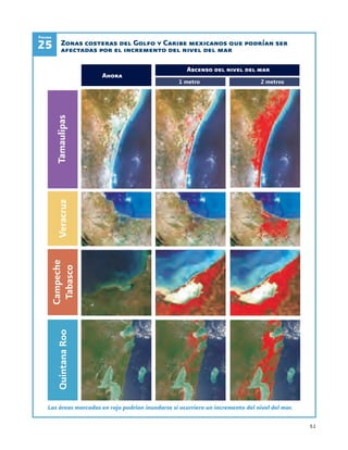 51
Zonas costeras del Golfo y Caribe mexicanos que podrían ser
afectadas por el incremento del nivel del mar25
Figura
Las áreas marcadas en rojo podrían inundarse si ocurriera un incremento del nivel del mar.
Ascenso del nivel del mar
Ahora
1 metro 2 metros
 