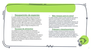 7
⪢ Desaparición de especies
El cambio climático pone en riesgo la supervivencia de las
especies terrestres y oceánicas. Estos riesgos aumentan a
medida que ascienden las temperaturas. Debido a la potencia
del cambio climático exacerbado, en el mundo se extinguen
especies a un ritmo 1000 veces mayor que en cualquier otra
época de la que se tenga constancia en la historia humana. Un
millón de especies están en riesgo de extinguirse en las
próximas décadas.
⪢ Escasez de alimentos
Los cambios en el clima y el aumento de condiciones
meteorológicas extremas son algunos de los motivos que
provocan un aumento global en la desnutrición en las
poblaciones más pobres. Los recursos pesqueros, los cultivos y
el ganado pueden desaparecer o volverse menos productivos.
Debido a una continua acidificación oceánica, los recursos
marinos que dan alimento a miles de millones de personas se
encuentran en riesgo.
⪢ Más riesgos para la salud
El cambio climático supone la mayor amenaza única para la
salud de la humanidad. El cambio climático ya daña de
hecho la salud, a través de la contaminación, las
enfermedades, los fenómenos meteorológicos extremos, los
desplazamientos forzados, las presiones en la salud mental,
así como un aumento del hambre y la desnutrición en
lugares donde las personas no pueden producir o encontrar
alimentos suficientes.
⪢ Pobreza y desplazamiento
El cambio climático aumenta los factores que llevan y
mantienen a la gente en la pobreza. Las inundaciones
pueden arrasar barrios marginales, destruyendo hogares y
comunidades. El calor dificulta la ejecución de trabajos en el
exterior. La escasez de agua puede afectar a los cultivos.
 