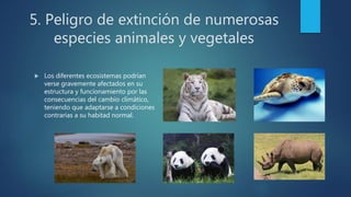5. Peligro de extinción de numerosas
especies animales y vegetales
 Los diferentes ecosistemas podrían
verse gravemente afectados en su
estructura y funcionamiento por las
consecuencias del cambio climático,
teniendo que adaptarse a condiciones
contrarias a su habitad normal.
 