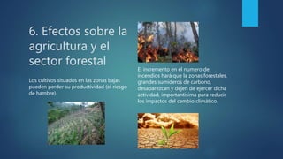 6. Efectos sobre la
agricultura y el
sector forestal El incremento en el numero de
incendios hará que la zonas forestales,
grandes sumideros de carbono,
desaparezcan y dejen de ejercer dicha
actividad, importantísima para reducir
los impactos del cambio climático.
Los cultivos situados en las zonas bajas
pueden perder su productividad (el riesgo
de hambre).
 