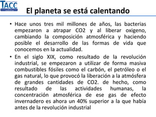 El planeta se está calentando
• Hace unos tres mil millones de años, las bacterias
empezaron a atrapar CO2 y al liberar oxigeno,
cambiando la composición atmosférica y haciendo
posible el desarrollo de las formas de vida que
conocemos en la actualidad.
• En el siglo XIX, como resultado de la revolución
industrial, se empezaron a utilizar de forma masiva
combustibles fósiles como el carbón, el petróleo o el
gas natural, lo que provocó la liberación a la atmósfera
de grandes cantidades de CO2. de hecho, como
resultado de las actividades humanas, la
concentración atmosférica de ese gas de efecto
invernadero es ahora un 40% superior a la que había
antes de la revolución industrial
 