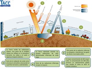 La Tierra recibe las radiaciones
solares. Una parte de la recibida
rebota (se refleja) en la atmosfera
terrestre, las nubes y el suelo y
regresa al espacio exterior.
Parte de la radiación de onda corta
atraviesa la atmosfera alcanzando la
superficie terrestre y calentándola.
La Tierra calentada reemite sus
propias radiaciones de calor
demoninadas inflarrojas de onda
larga.
Parte de las radiaciones inflarrojas
escapan al espacio
Otra parte de la radiación inflarroja
es atrapada y retenida por los gases
de efecto invernadero.(GEI).
A mayor concentración de GEI mayor
calor, la concentración de 200 años
provoca un calentamiento global
que cambia el clima es decir el
cambio climático.
1
2
3
4
5
6
 