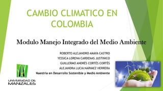 CAMBIO CLIMATICO EN
COLOMBIA
ROBERTO ALEJANDRO AMAYA CASTRO
YESSICA LORENA CARDENAS JUSTINICO
GUILLERMO ANDRÉS CORTÉS CORTÉS
ALEJANDRA LUCIA NARVAEZ HERRERA
Maestría en Desarrollo Sostenible y Medio Ambiente
 