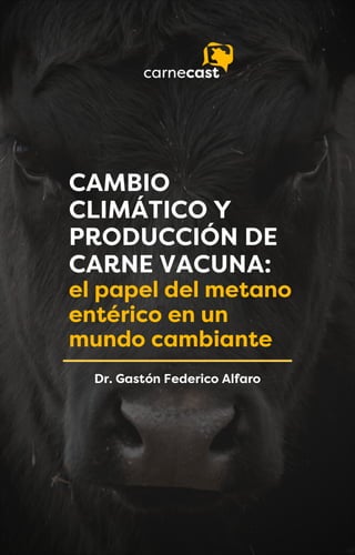 CAMBIO CLIMATICO GASES EF. INV.pdf