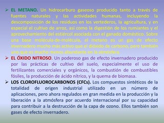  EL METANO. Un hidrocarburo gaseoso producido tanto a través de
fuentes naturales y las actividades humanas, incluyendo la
descomposición de los residuos en los vertederos, la agricultura, y en
especial el cultivo de arroz, así como la digestión de los rumiantes y el
aprovechamiento del estiércol asociada con el ganado doméstico. Sobre
una base molécula-de-molécula, el metano es un gas de efecto
invernadero mucho más activo que el dióxido de carbono, pero también
uno que es mucho menos abundante en la atmósfera.
 EL ÓXIDO NITROSO. Un poderoso gas de efecto invernadero producido
por las prácticas de cultivo del suelo, especialmente el uso de
fertilizantes comerciales y orgánicos, la combustión de combustibles
fósiles, la producción de ácido nítrico, y la quema de biomasa.
 LOS CLOROFLUOROCARBONOS (CFCs). Los compuestos sintéticos de la
totalidad de origen industrial utilizado en un número de
aplicaciones, pero ahora regulados en gran medida en la producción y la
liberación a la atmósfera por acuerdo internacional por su capacidad
para contribuir a la destrucción de la capa de ozono. Ellos también son
gases de efecto invernadero.
 