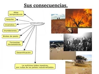 Sus consecuencias.
.