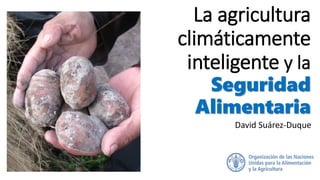 La agricultura
climáticamente
inteligente y la
Seguridad
Alimentaria
David Suárez-Duque
 