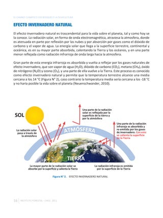 EL CAMBIO CLIMÁTICO LOS BOSQUES Y LA SILVICULTURA


EFECTO INVERNADERO NATURAL
El efecto invernadero natural es trascendental para la vida sobre el planeta, tal y como hoy se
la conoce. La radiación solar, en forma de onda electromagnética, atraviesa la atmosfera, donde
es atenuada en parte por reflexión por las nubes y por absorción por gases como el dióxido de
carbono y el vapor de agua. La energía solar que llega a la superficie terrestre, continental y
oceánica, es en su mayor parte absorbida, calentando la Tierra y los océanos, y en una parte
menor reflejada como radiación infrarroja de onda larga hacia la atmosfera.

Gran parte de esta energía infrarroja es absorbida y vuelta a reflejar por los gases naturales de
efecto invernadero, que son vapor de agua (H2O), dióxido de carbono (CO2), metano (CH4), óxido
de nitrógeno (N2O) y ozono (O3), y una parte de ella vuelve a la Tierra. Este proceso es conocido
como efecto invernadero natural y permite que la temperatura terrestre alcance una media
cercana a los 14 °C (Figura N° 2), caso contrario la temperatura media sería cercana a los -18 °C
y no haría posible la vida sobre el planeta (Neuenschwander, 2010).




                                                             Una parte de la radiación
                                                             solar es reflejada por la
 SOL                                                         superficie de la tierra y
                                                             por la atmósfera
                                                                                          Una parte de la radiación
                                                                                          infraroja es absorbida y
  La radiación solar
   pasa a través de                          ATMÓSFERA                                    re-emitida por los gases
                                                                                          de invernadero. Con esto
       la atmósfera                                                                       se calienta la superficie
                                                                                          de la Tierra




                                                TIERRA
             La mayor parte de la radiación solar se                   La radiación infraroja es emitida
            absorbe por la superficie y calienta la Tierra               por la superficie de la Tierra

                                  Figura N° 2. EFECTO INVERNADERO NATURAL




16   INSTITUTO FORESTAL - CHILE. 2011
 