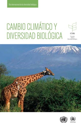 Día internacional de la diversidad biológica
CAMBIOCLIMÁTICOY
DIVERSIDADBIOLÓGICA Convenio
sobre la
Diversidad Biológica
IBD_Booklet_ESP_cover.qxd 1/22/2007 12:50 PM Page 2
 