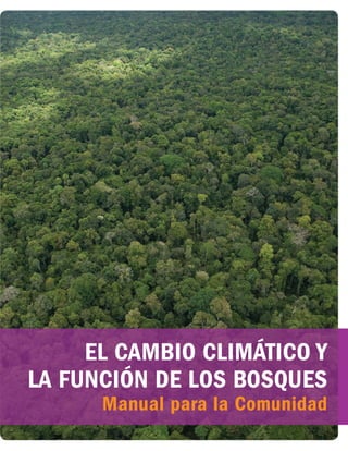 i
EL CAMBIO CLIMÁTICO Y
LA FUNCIÓN DE LOS BOSQUES
Manual para la Comunidad
 