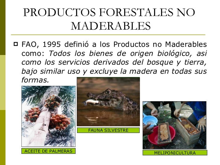 Cambio climatico y foresteria comunitaria vhvz 2010