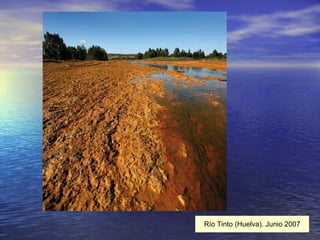 Río Tinto (Huelva). Junio 2007 